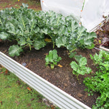 Raised Garden Bed - Extra Large