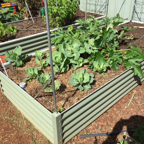 Raised Garden Bed - Jumbo